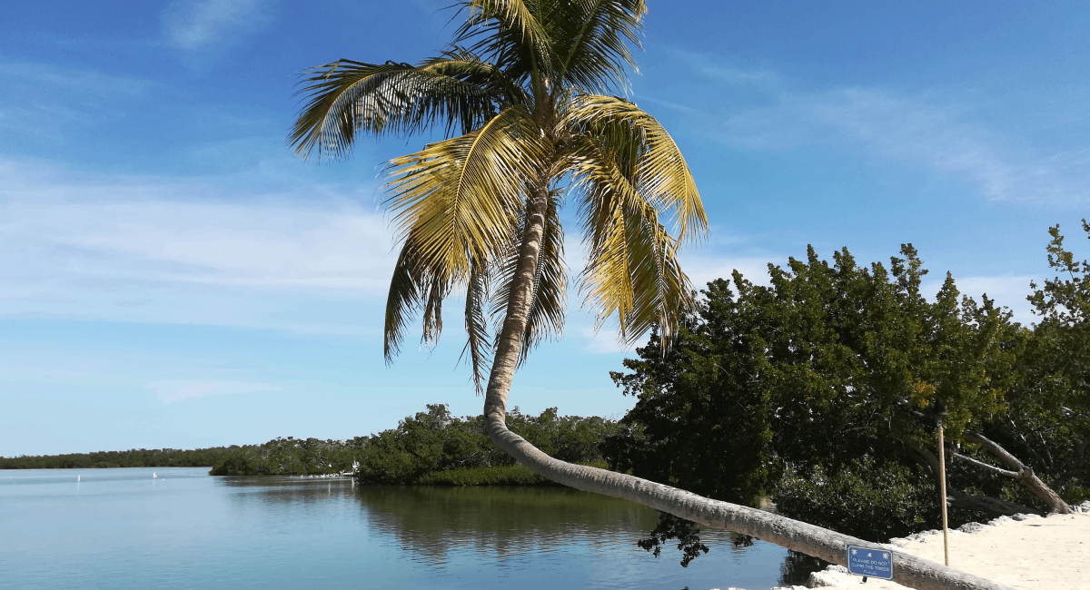 Read more about the article Florida Keys za jeden deň z Miami